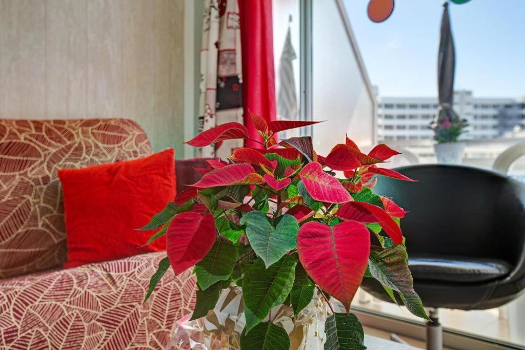 Los Elefantes Beach House San Bartolomé Екстериор снимка